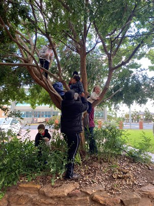 Tree climbing - an essential element.